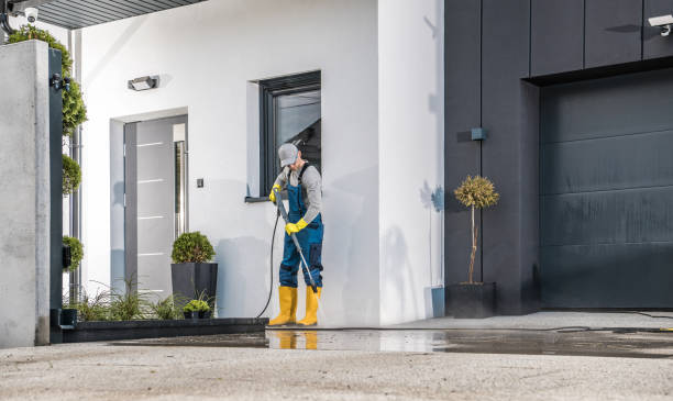 Best Gutter Cleaning  in Commack, NY